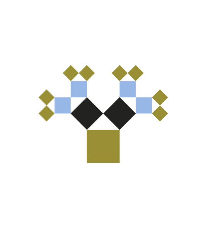 Εξαιρετικά παρθένο ελαιόλαδο ψυχρής έκθλιψης, βιολογικής καλλιέργειας από την Σάμο 3 Λίτρων - ''Agasto'' - Image 2