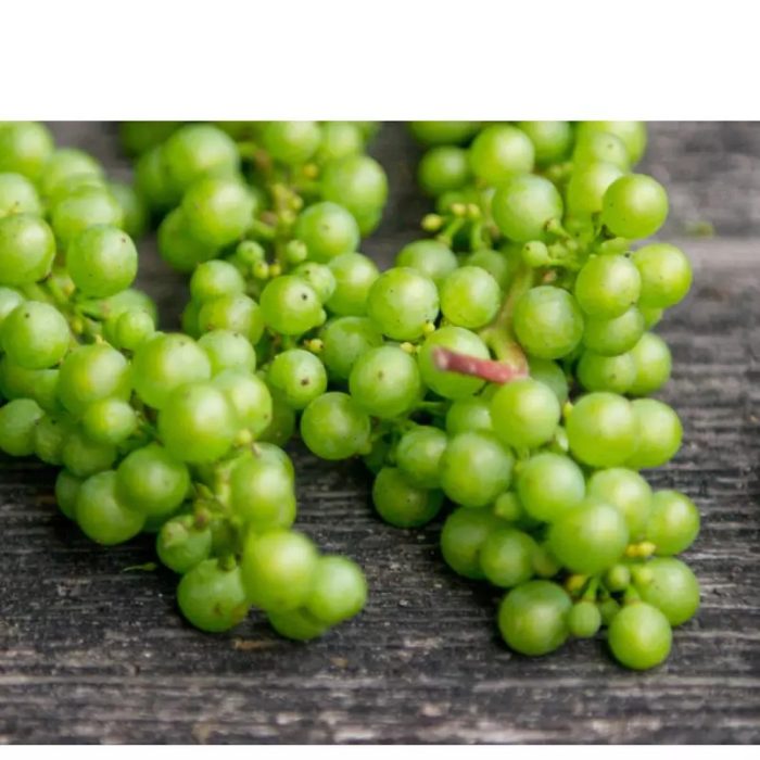 Λάδι σώματος για ξηρό δέρμα με άνθη ιβίσκου 125ml -seamuse- - Image 4